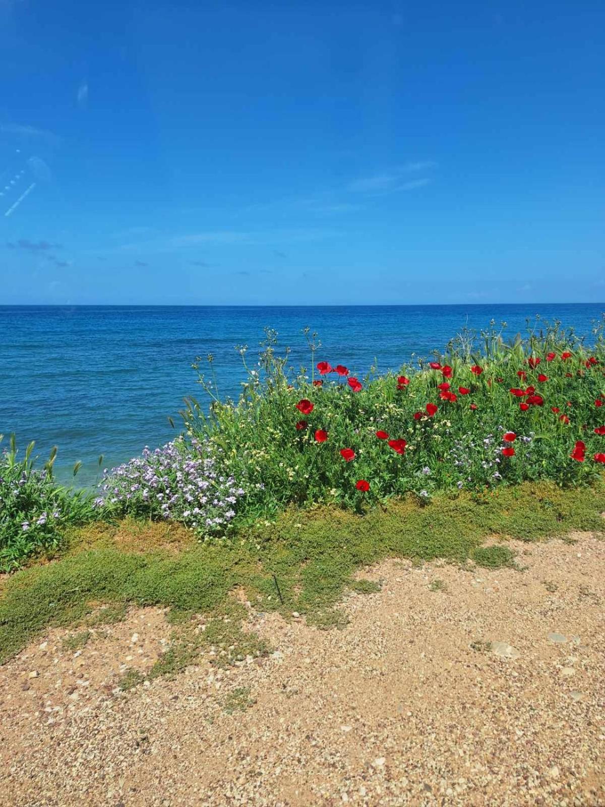Family Stone Apartment Kyparissia Zewnętrze zdjęcie